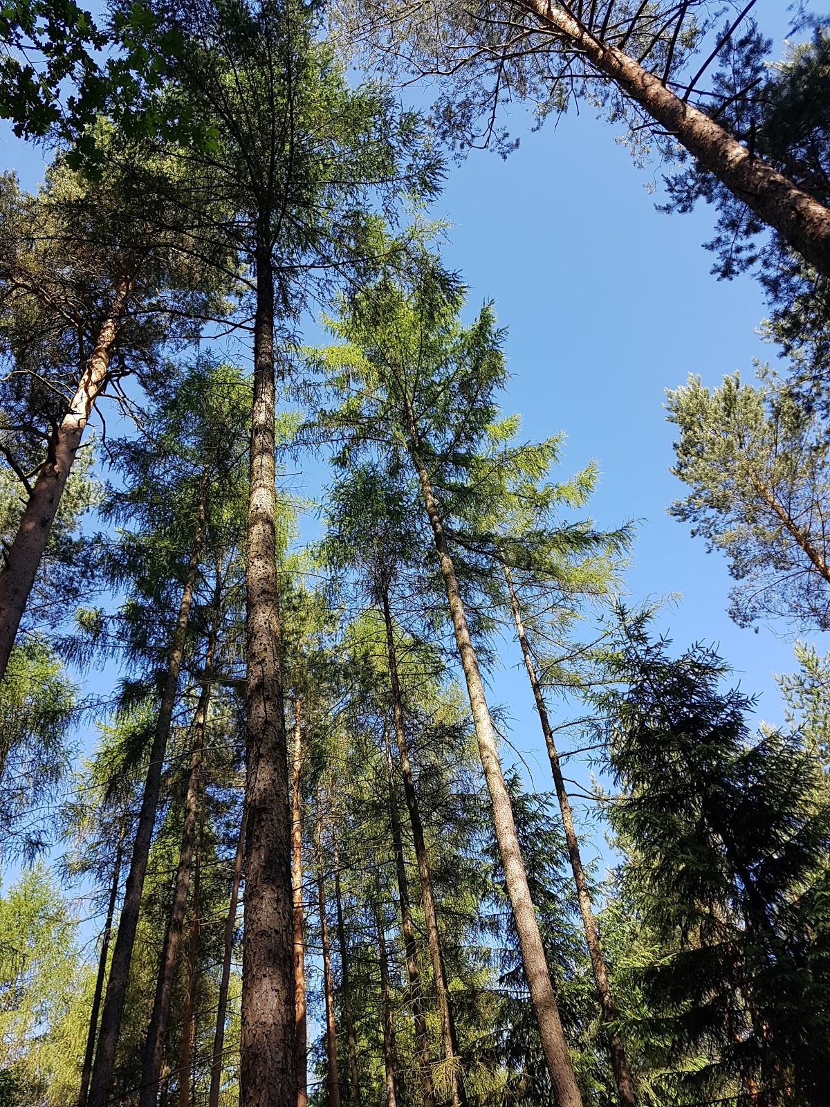 Naturmoden Steffi Hacke 06 01 2017 07 01 2017