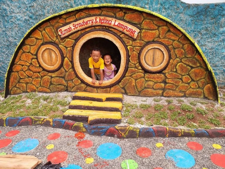 Rumah kelinci Dan taman Strawberry Kemiling Lampung - Sudah Lagi