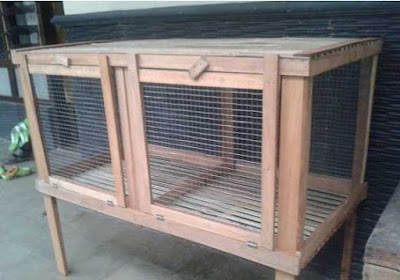 Desain dan cara membuat kandang kelinci sendiri yang murah Desain dan cara membuat kandang kelinci sendiri yang murah