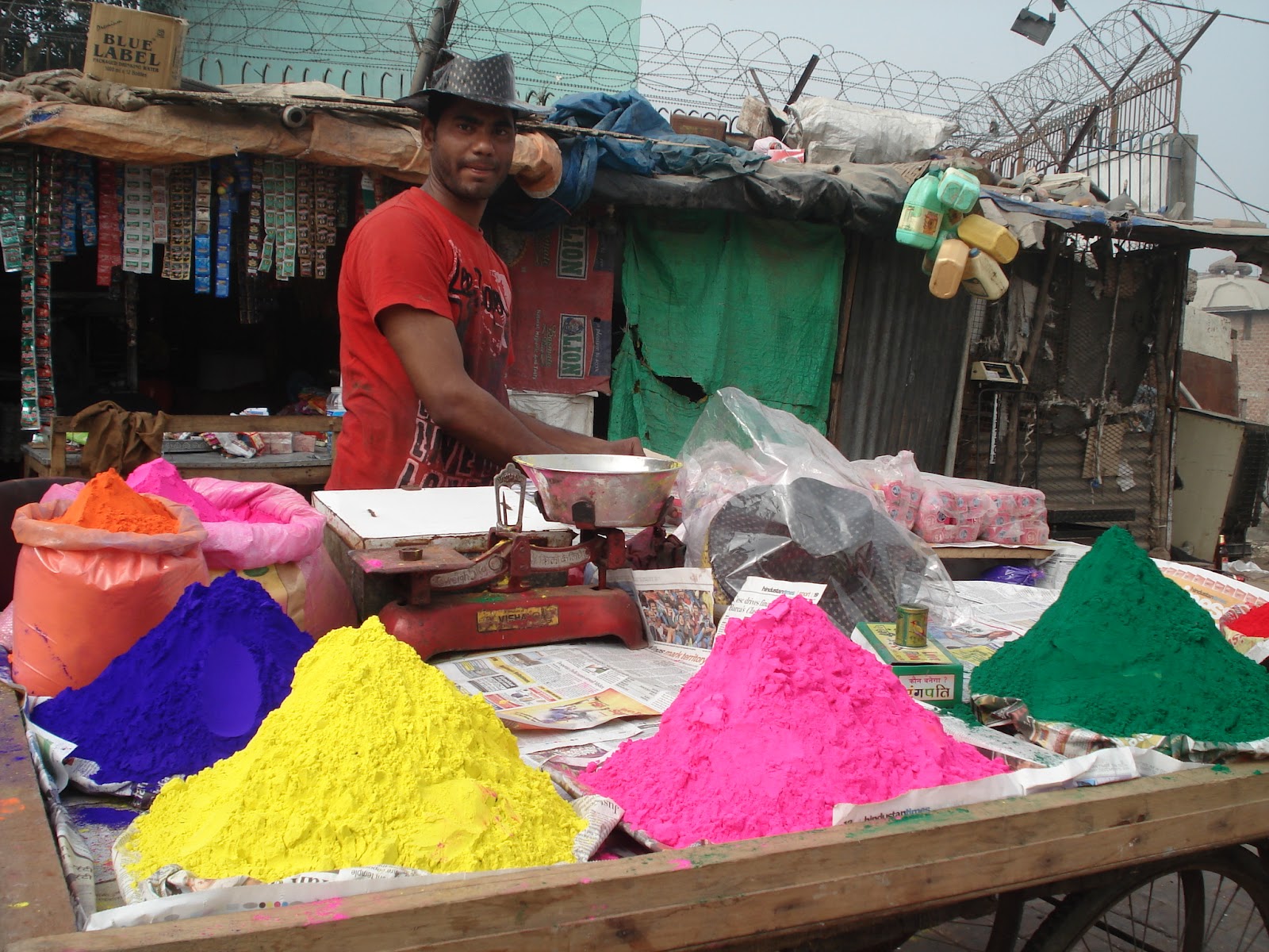 holi cow music festival
