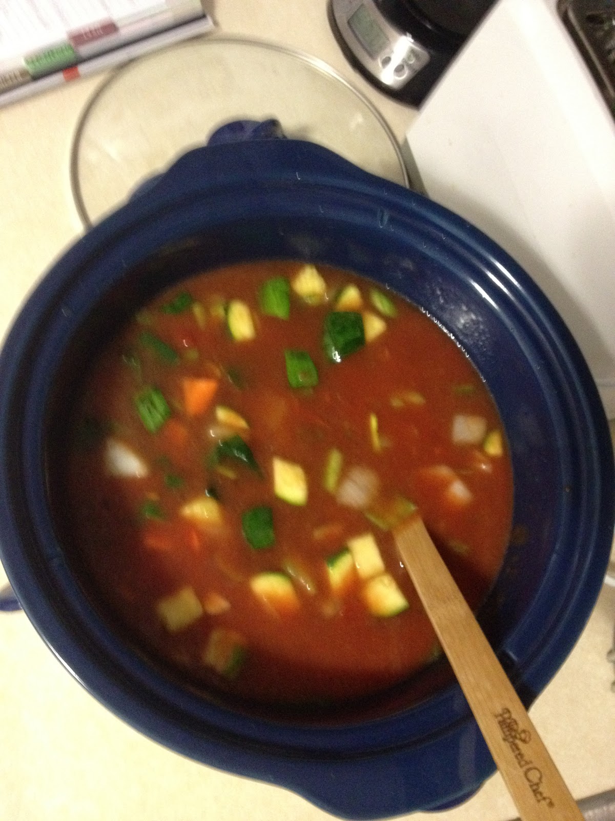 Lee Lee's Kitchen Slow Cooked Beef Minestrone Soup My Favorite!!