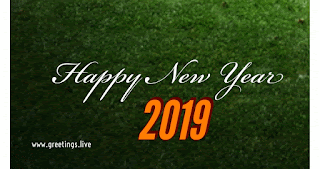 2019 gif animated Colour happy new year greetings live.