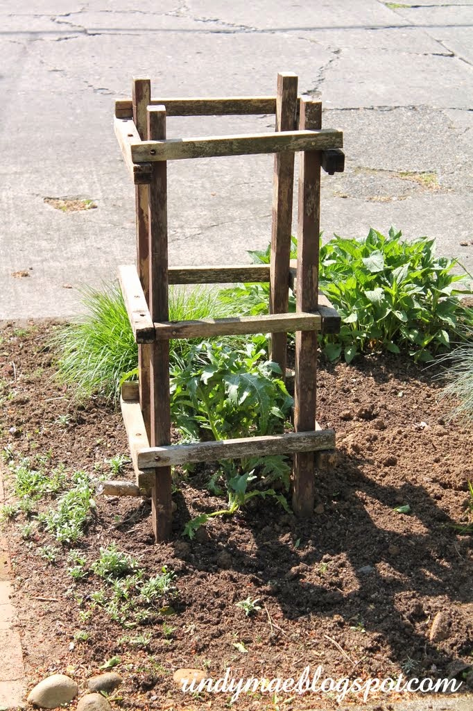 Rindy Mae: The First Week Of May In the Front Yard