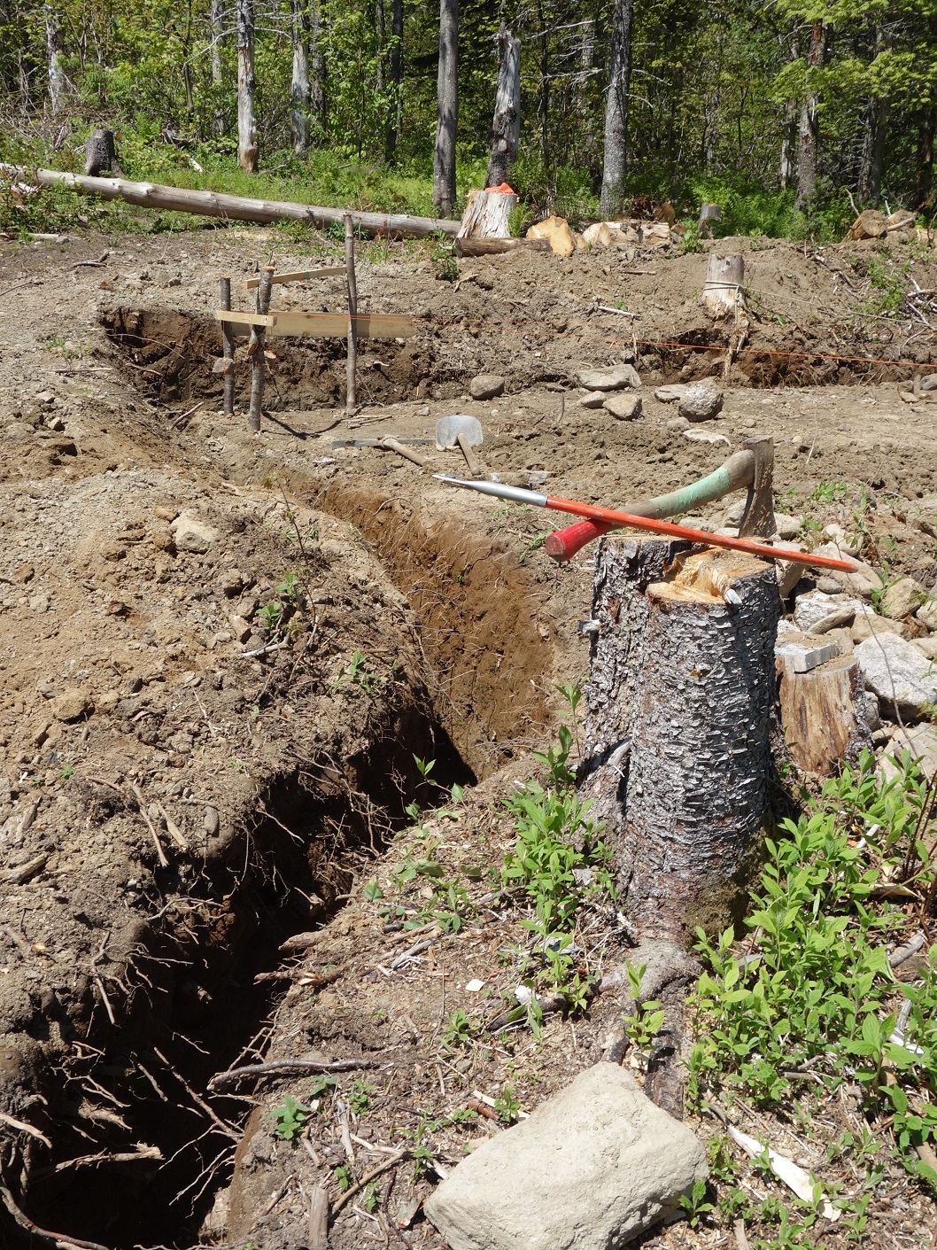 Roland Maeders Blog Juni 2019