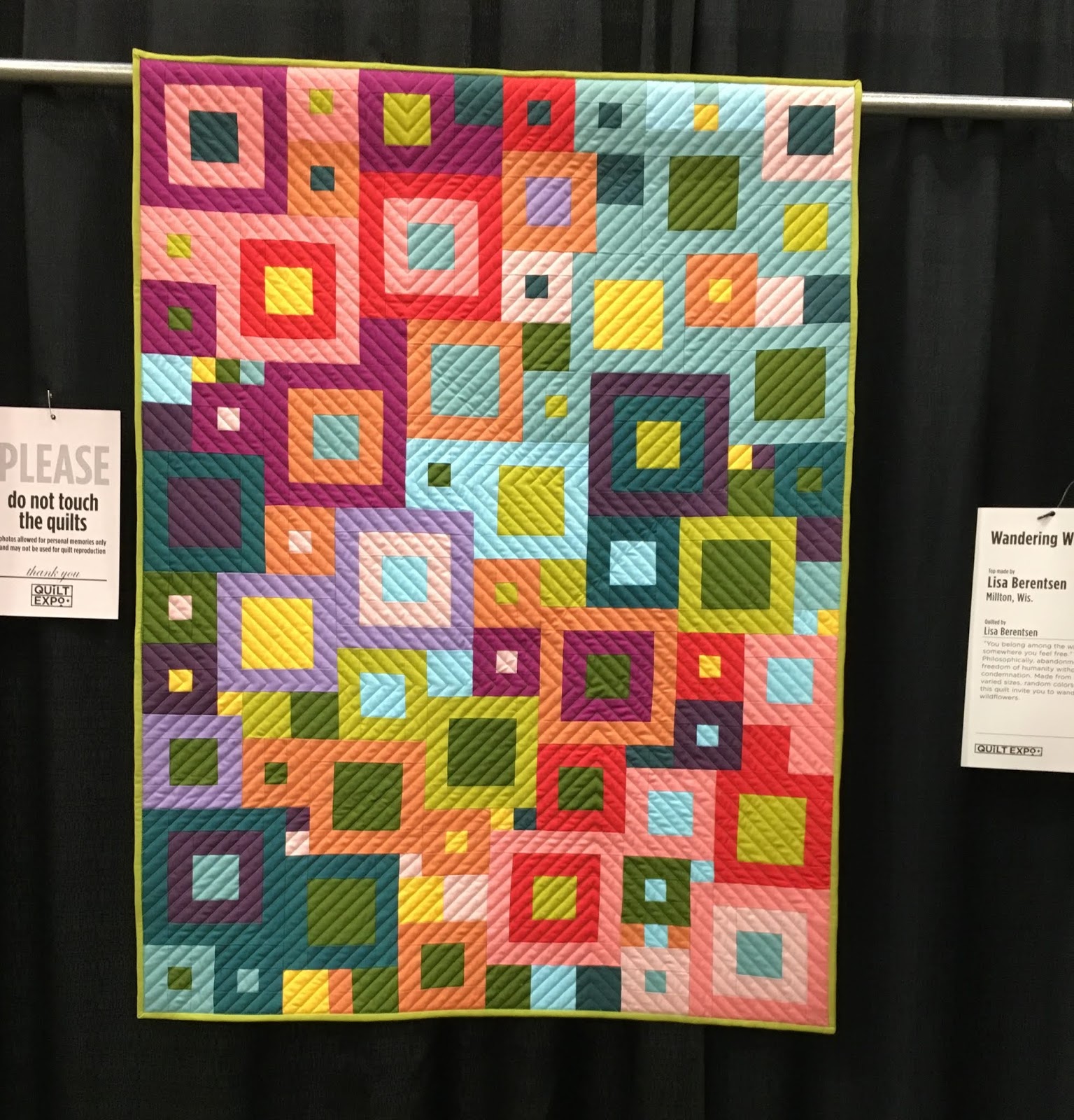 SunShine Sews... The Great Wisconsin Quilt Show