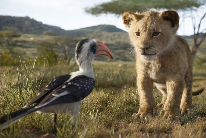 Entertainment News Info The Lion King Live Action Review Entertainment News Info The Lion King Live Action Review