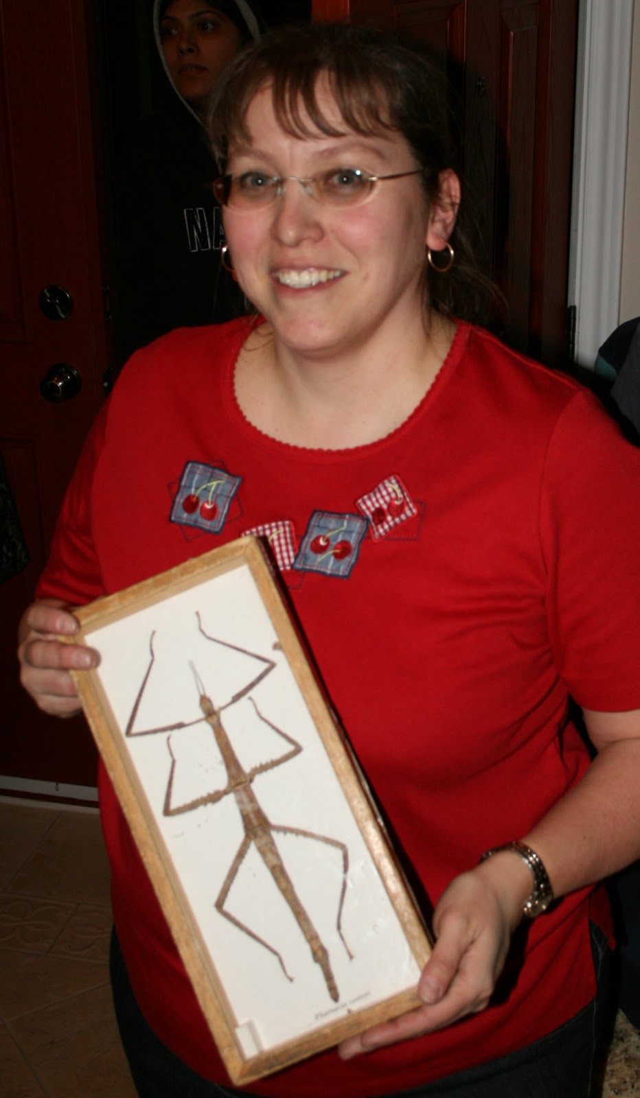 Amazing Stick Insect Giant Stick Bug Facts, Photos, Information