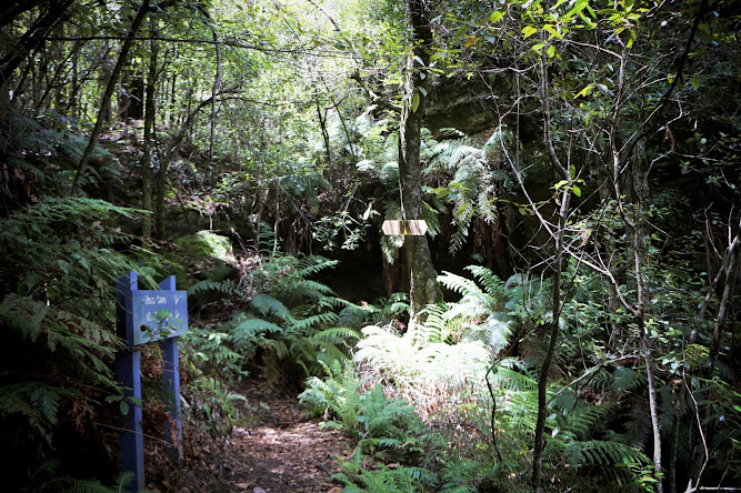 Ross Cave The Little Zig Zag Track Ross Cave Blue Mountains NSW