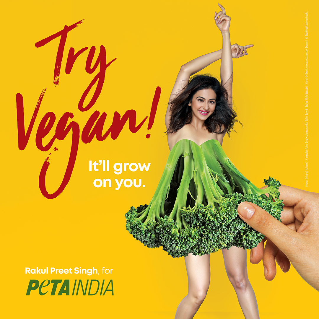Rakul Preet Singh For (PETA INDIA) Campaign