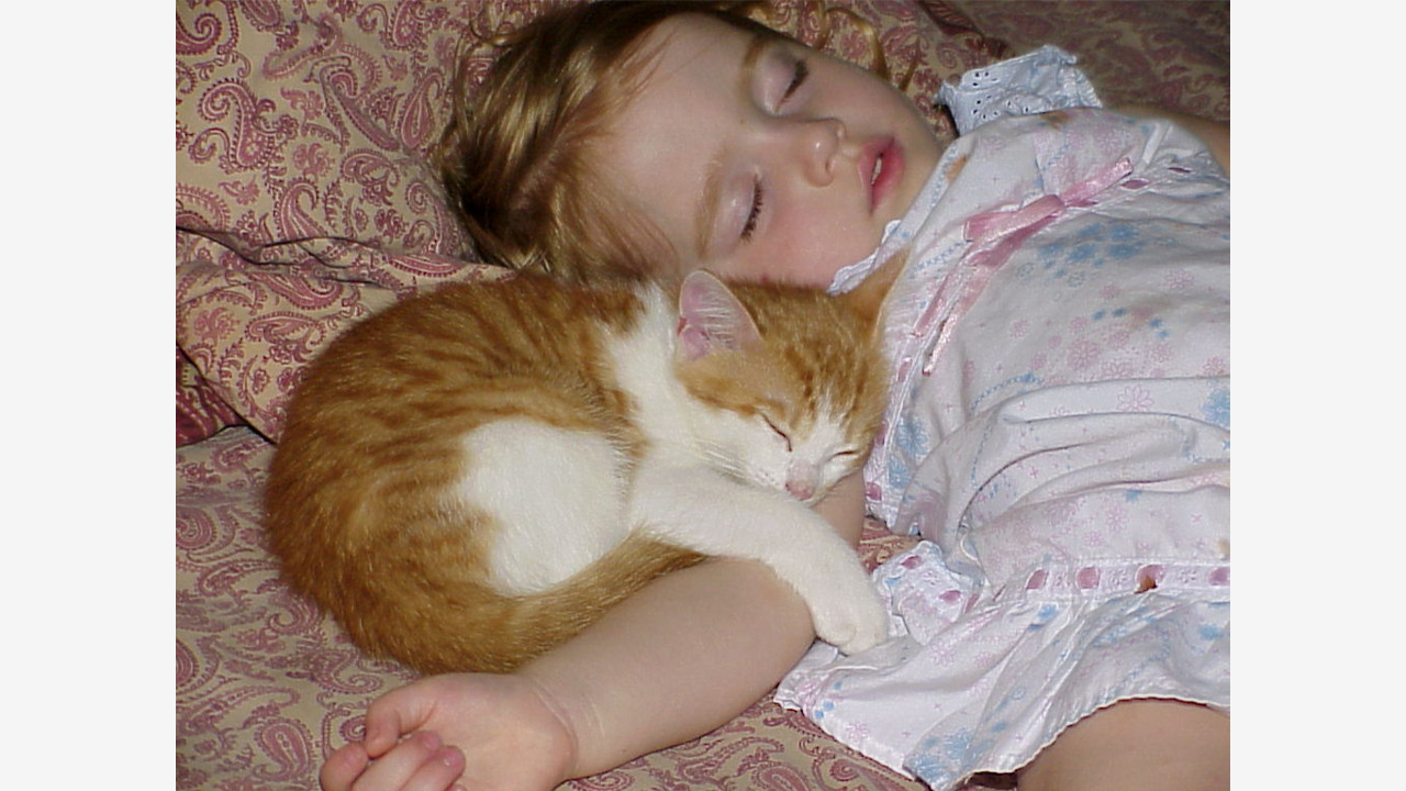 спала гуляла. спала гуляла. если ты не пойдешь гулять. спала гуляла. спала гуляла.