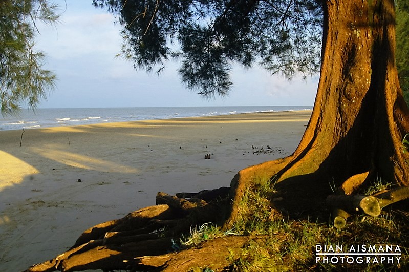 Gambar terkait 4 Pulau Aceh di Aceh Singkil Akan jadi Destinasi Wisata,Mualem Lirik Investor Timur Tengah (dari Bing)