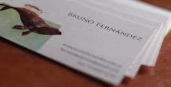Bruno Fernandez