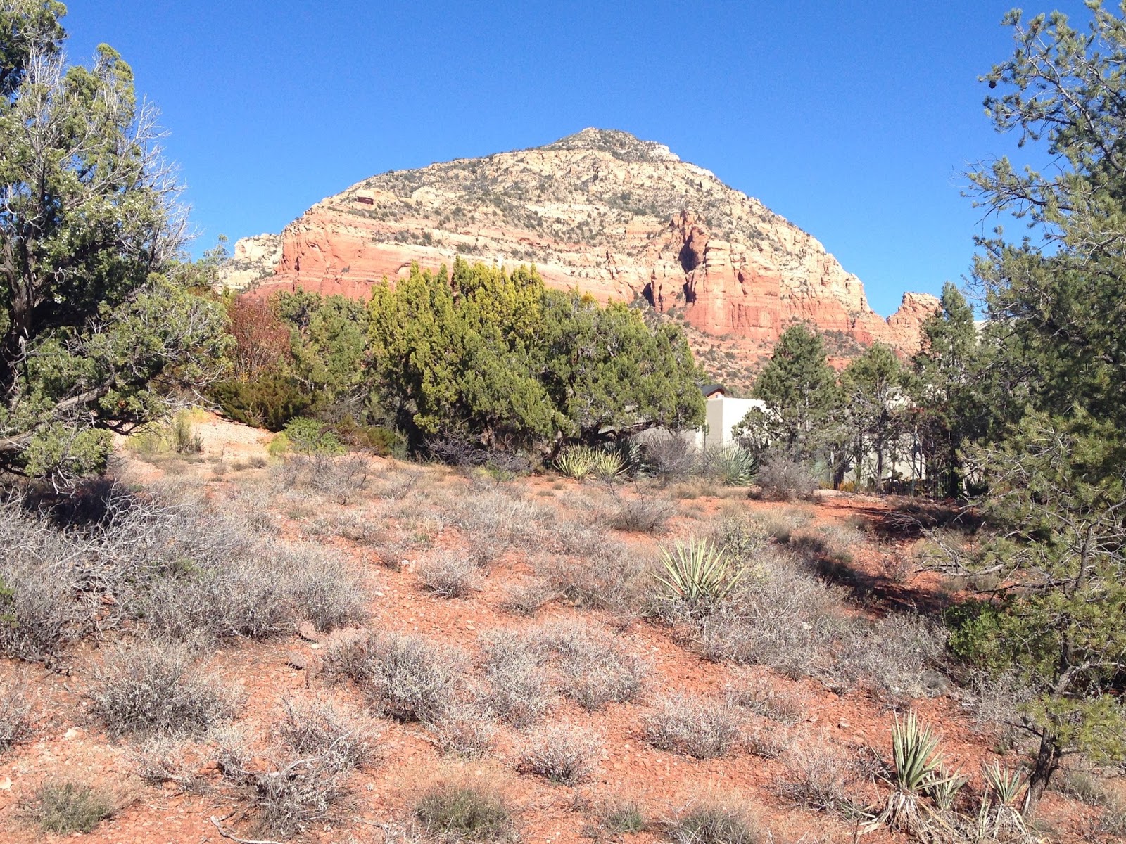 Sedona Real Estate Best Buys Sedona Land for sale 2 acre