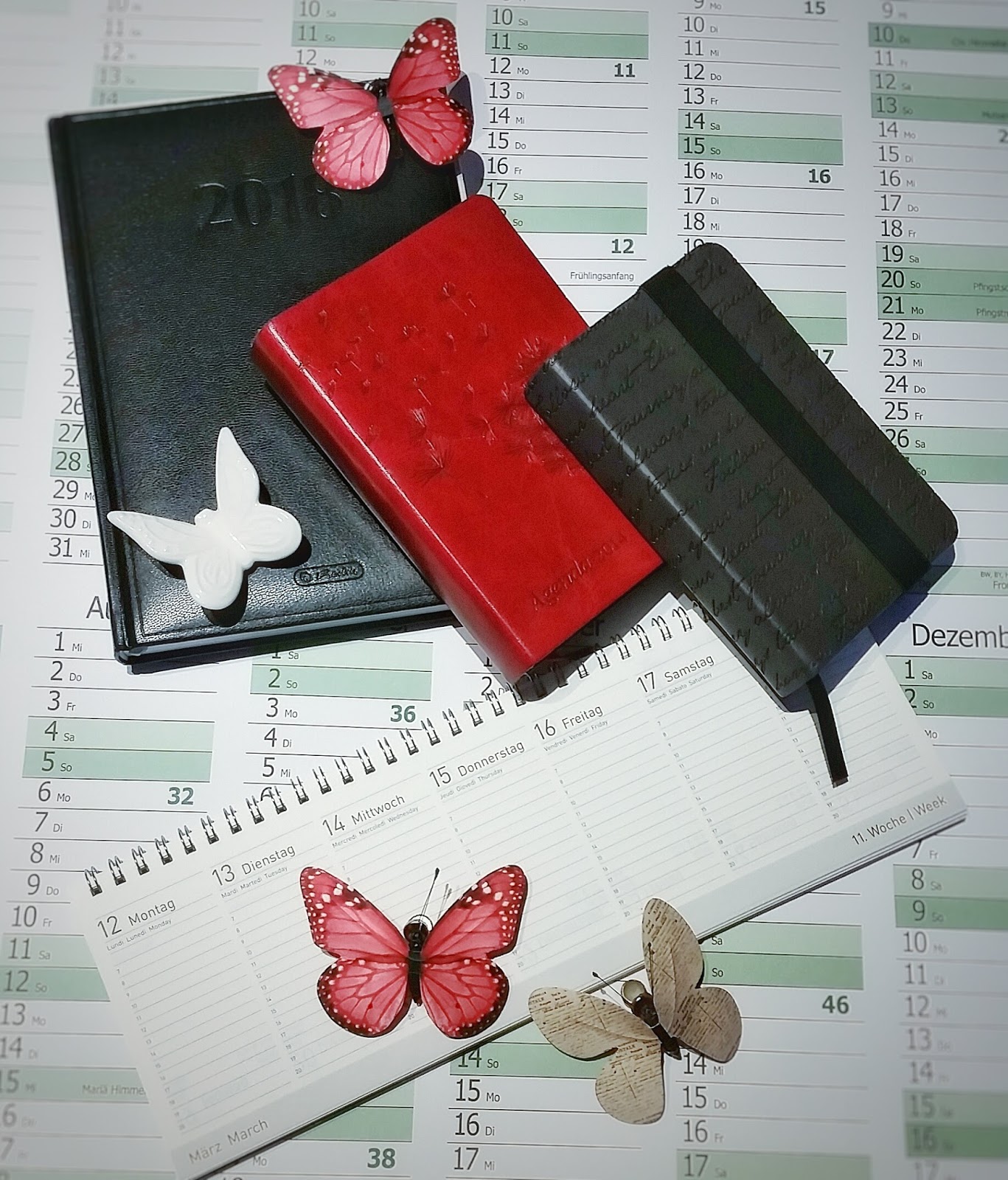 Jessys Momente: Kalender – Was sind das für Bücher?