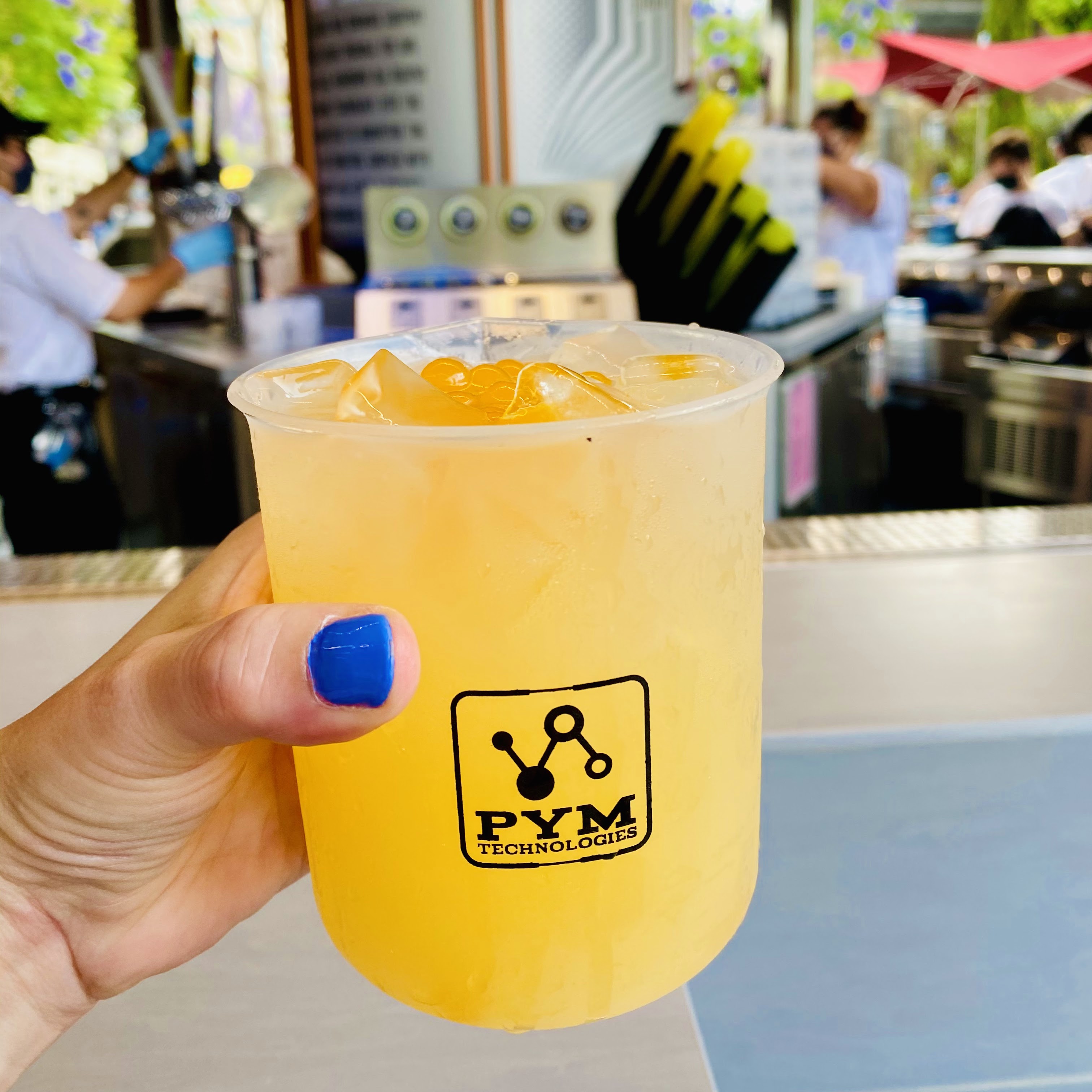 The Beauty of Life What to Do at Disneyland My Top 6 PostReopening