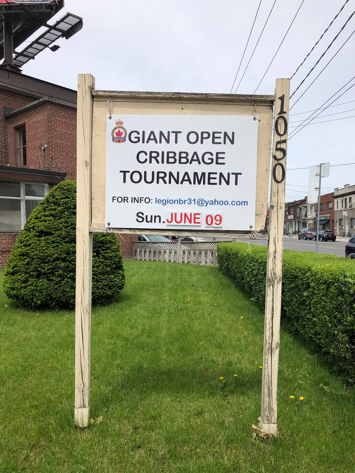 Teena in Toronto Open Cribbage Tournament, Royal Canadian Legion