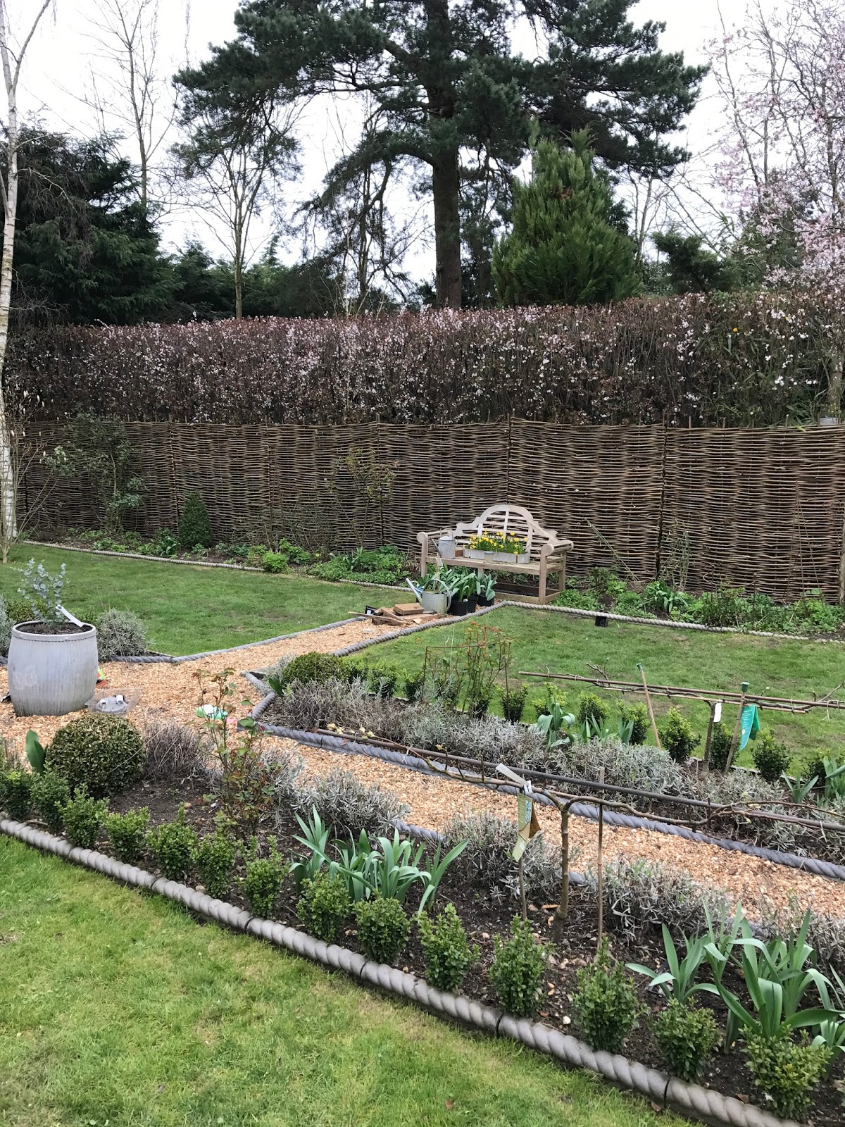 153 Best Pool Privacy Ideas Images Pool Designs Pool