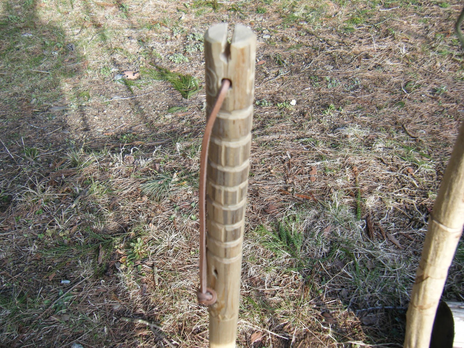 Le Bushcraft D Alex Fiche 57 Comment Fabriquer Simplement Un Baton De Marche En Bois