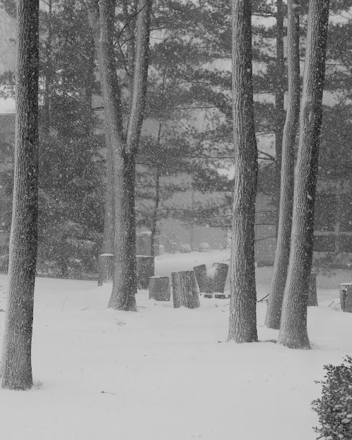 Indiana Winter Wonderland Photo - Free Download