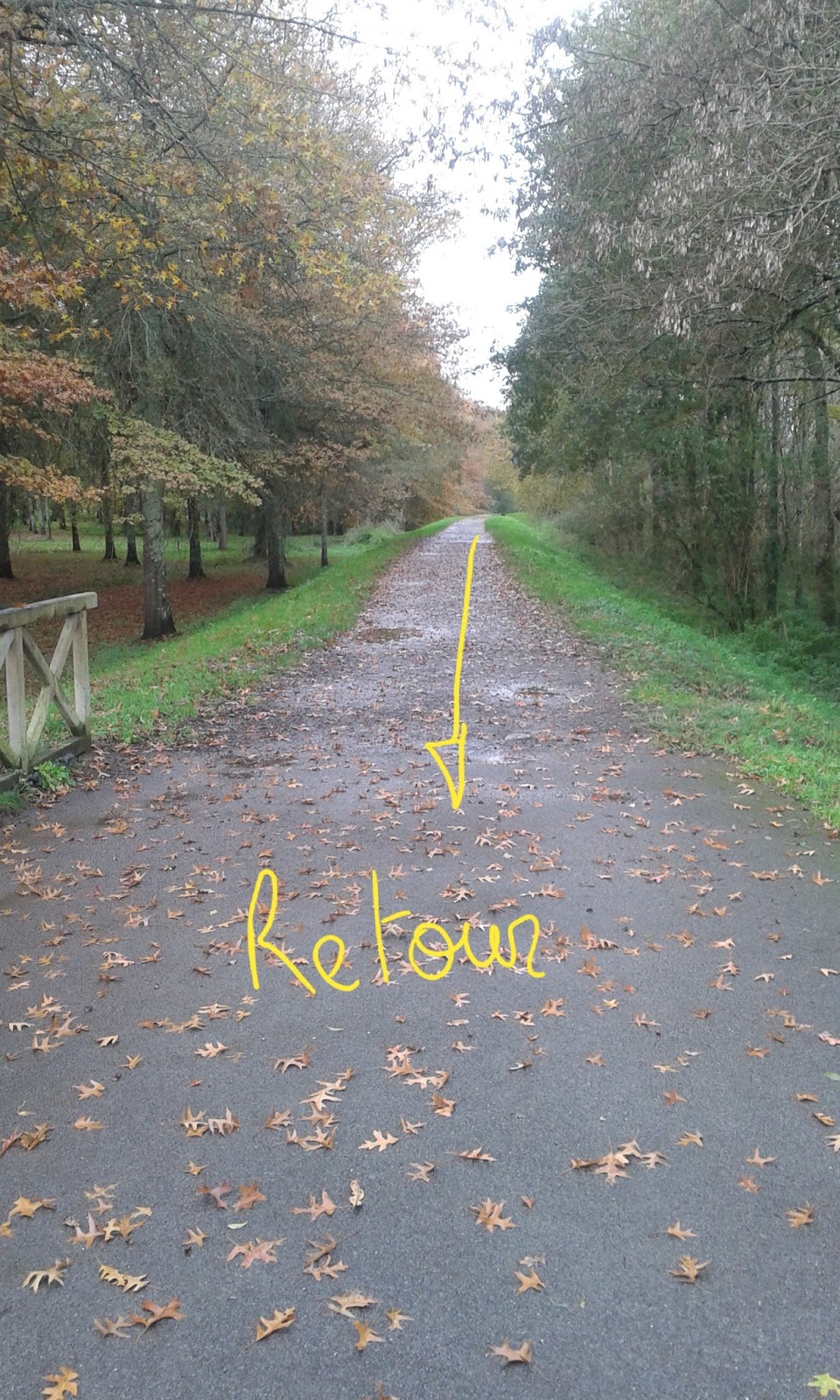 Peon runner, le blog du gars qui court trop trop vite... ou pas Courir au bois de boulogne... à Dax