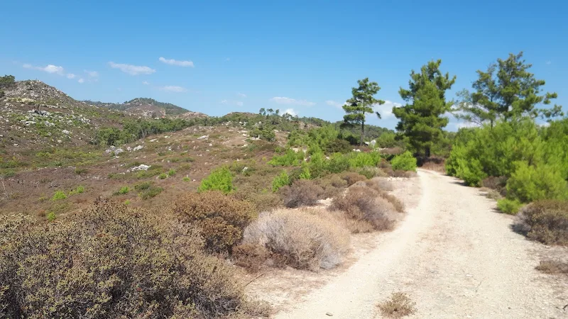 A landscape full of rejuvenation