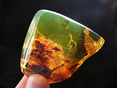 Pictures: Types of Amber