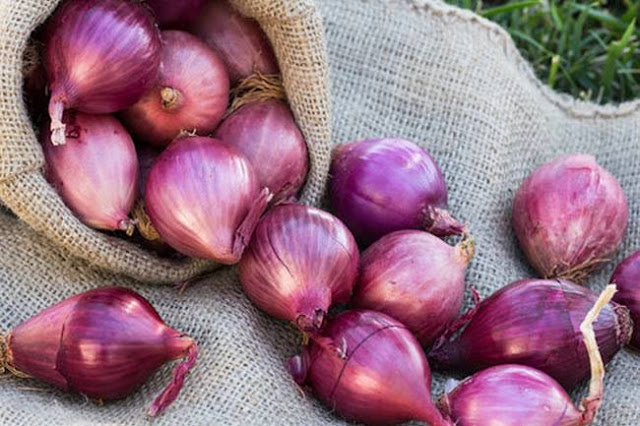 Daerah Penghasil Bawang Merah