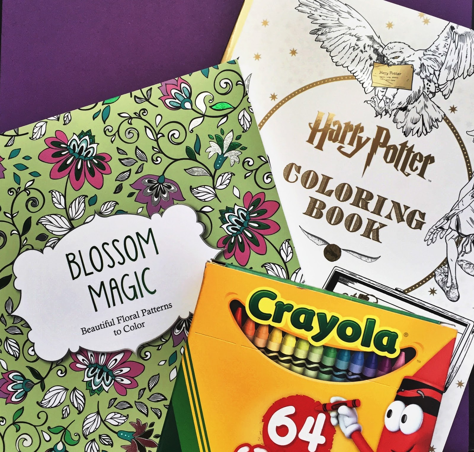 Loudlyeccentric 35 Adult Coloring Book Target