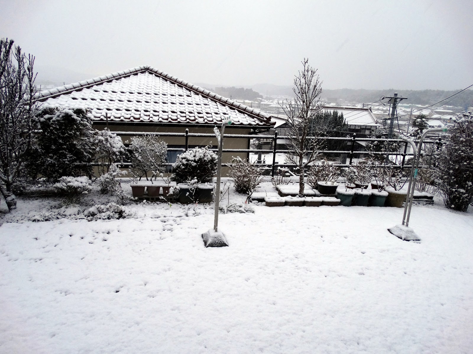 市 東 天気 広島