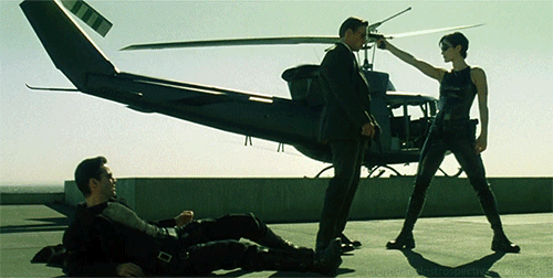 8.gif