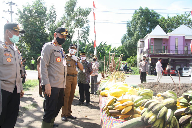 Palembang - Kapolda Sumsel dalam kunjungan nya turut didampingi oleh Bupati Ogan Ilir H.M. Ilyas Panji Alam, S.E., S.H., M.M. Kapolres Ogan Ilir AKBP Imam Tarmudi, Ketua DPRD, Dandim, Kajari, Camat dan Tokoh Masyarakat Meninjau lokasi penanaman Benih Jagung di lahan binaan Polres Ogan Ilir di Kelurahan Timbangan kemudian melakukan kunjungan di Desa Tanjung Gelam Kampung Tangkal Covid-19, Selasa (2/6/2020).  Adapun kegiatan penanaman bibit tersebut diantaranya penanaman bibit jagung seluas 2 Hektar, penanaman ketela seluas 2 Hektar lalu penanaman sayuran seluas 1 Hektar kemudian melakukan tebar bibit ikan sebanyak 2.000 ekor. Kapolda pun memberikan bantuan beras sebanyak 1 Ton beserta 50 Paket Sembako kepada masyarakat sekitar yg membutuhkan yg terdampak oleh Covid-19.  Kapolda pun tidak luput melakukan kunjungan di Kampung Tangkal Covid-19 dengan mengecek beberapa pos kamling yg ada sebanyak 241 Pos selanjutnya melihat kegiatan Bimbel dan Mengaji yg saat ini sudah berjalan sebanyak 20 tempat. Inilah beberapa kegiatan positif yang dilakukan masyarakat  dikampung tangkal covid-19 untuk menjaga dan mengisi waktu supaya terhindar dari Covid-19 dengan tetap selalu berpikir positif untuk menjaga tubuh kita agar tetap selalu sehat dan bugar.  Kapolda mengatakan ini adalah sesuatu yang luar biasa dan ini patut diberikan apresiasi karena dengan kondisi Covid-19 ini kalau tidak dari masyarakat yang timbul untuk melakukan hal seperti ini beliau yakin akan sangat sulit sekali untuk melakukannya apabila tidak secara bersama-sama. Inilah sebuah kreatifitas dan inisiatif yang baru yang bisa dijadikan sebuah peluang yg baik dan tetap kompak untuk bisa dilanjutkan diseluruh daerah yang lain apalagi kita saat ni sedang mengalami pandemi Covid-19 dan ini bisa membantu perekenomian masyarakat yang sedang mengalami kesulitan sehingga peluang ini bisa menjadi peningkatan perekonomian keluarga yg ada saat ini ujarnya.(Tri Sutrisno)