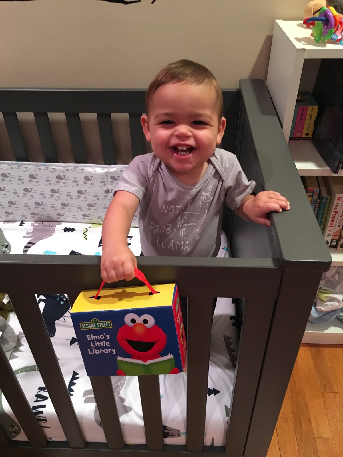 What Red Read Kid Gloves by Lucy Knisley Pregnancy isn't easy, but it