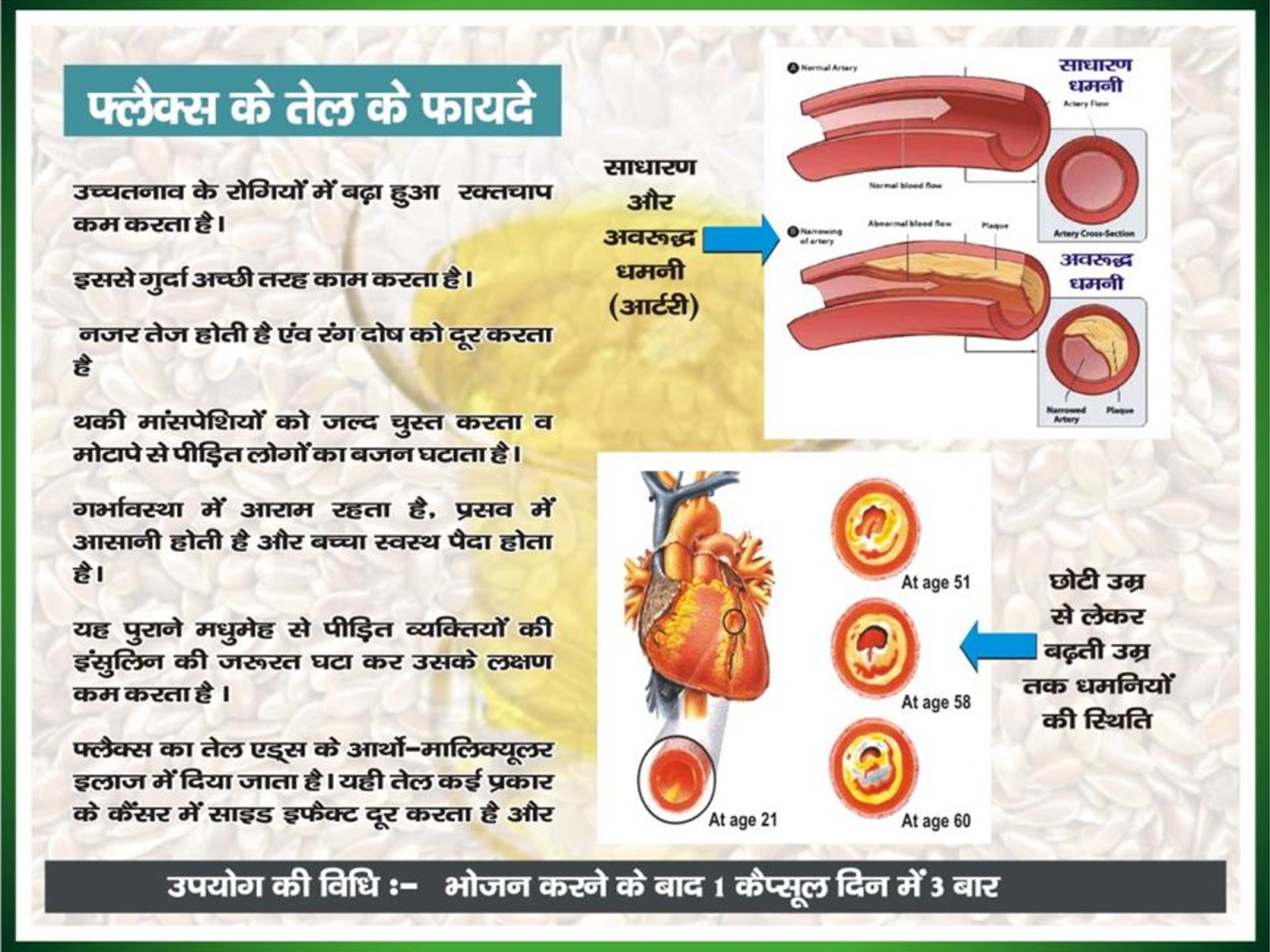 Vestige Plan Book Hindi 2019 | Vestige Product Catalog in ...