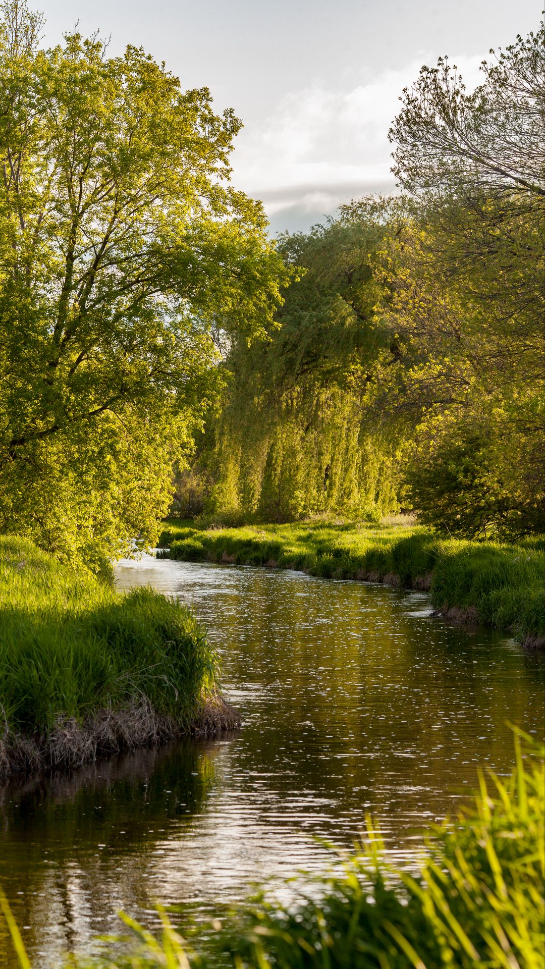 Peaceful Landscape, Grass, River, Trees Wallpaper