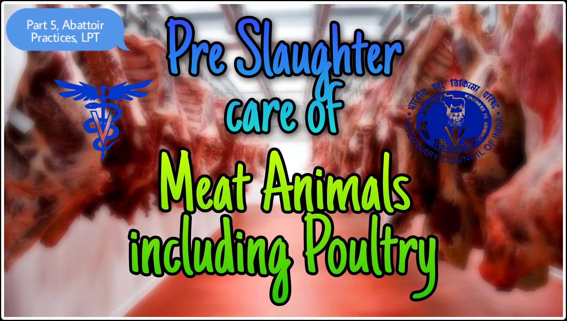 Preslaughter care, handling and transport of meat animals including