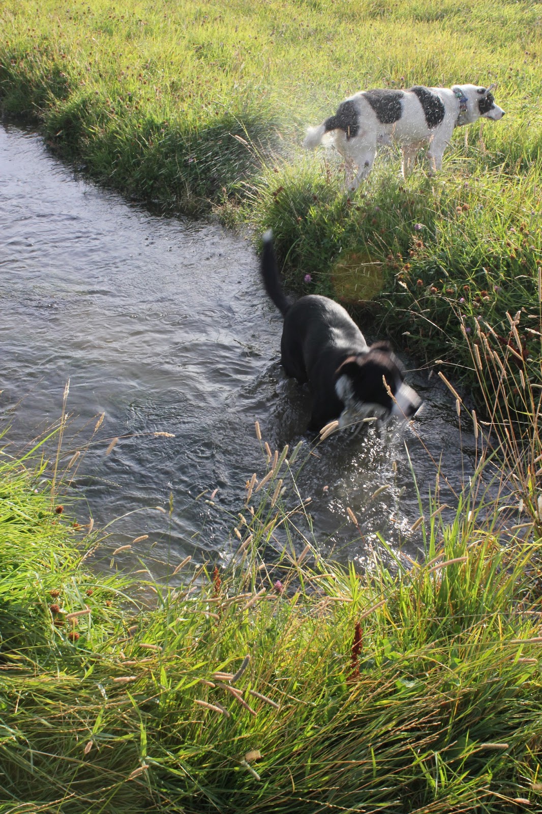Granny's Got a Bike: Day 8: Smallburn Farm to Wanaka