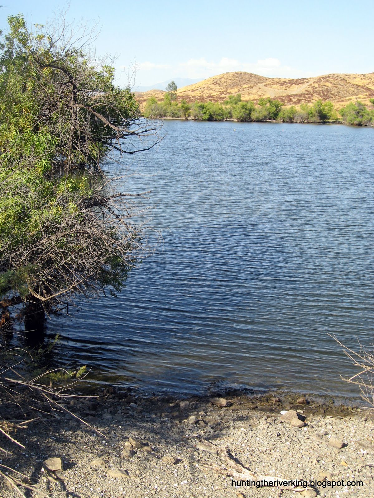 Canyon Lake Bass Fishing Hunting the River King