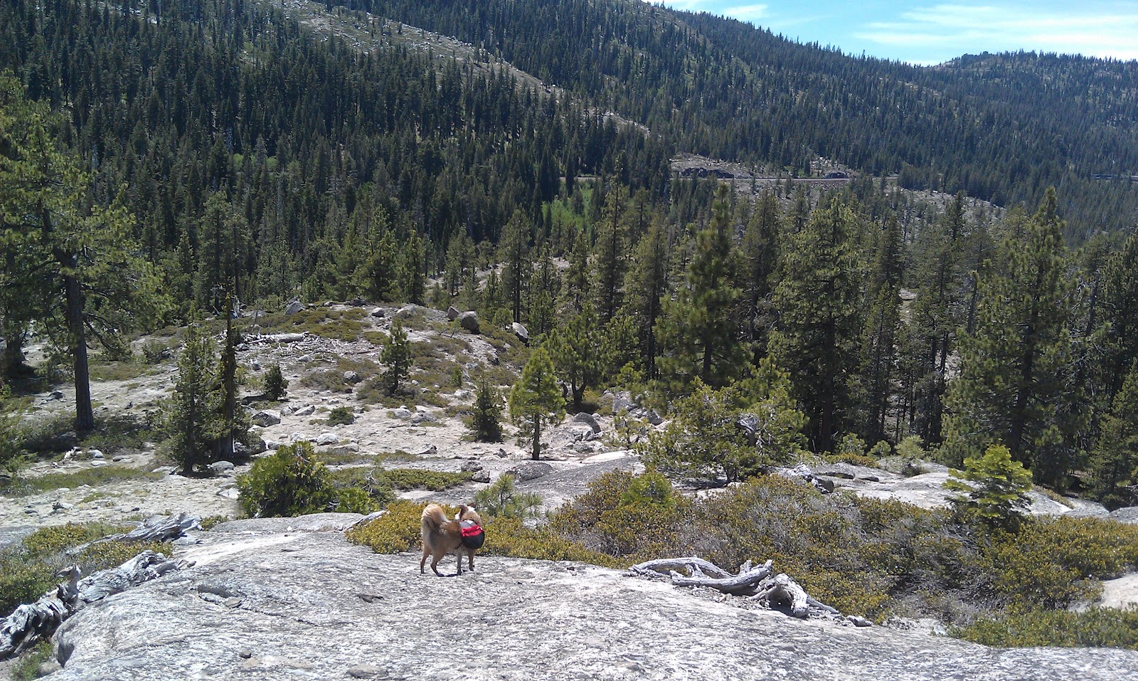 Paws For Hiking: Loch Leven Lake Trail - Tahoe National