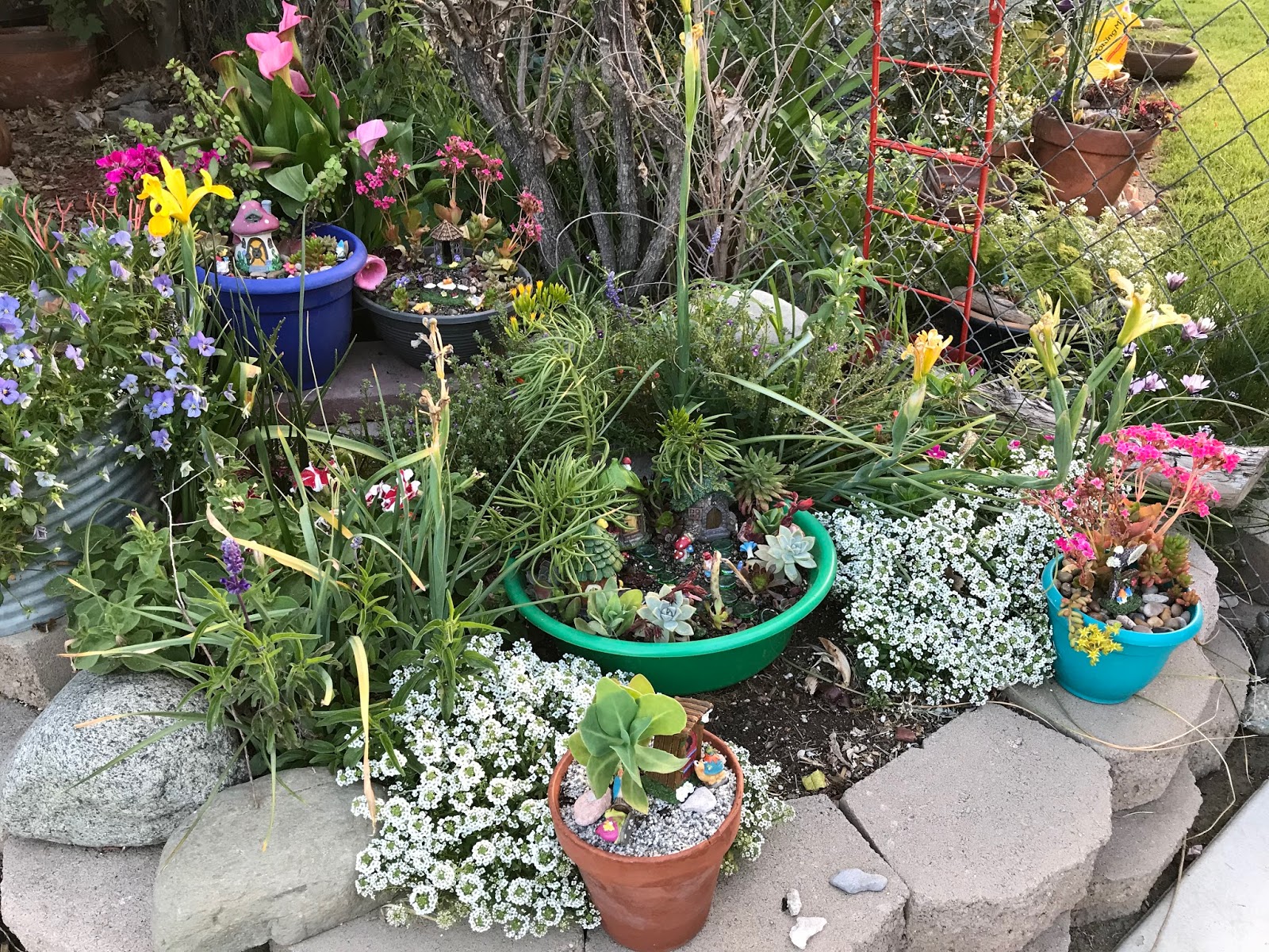 Dollar Tree Garden Ideas