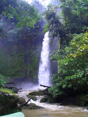 Animales Del Oriente Cascadas