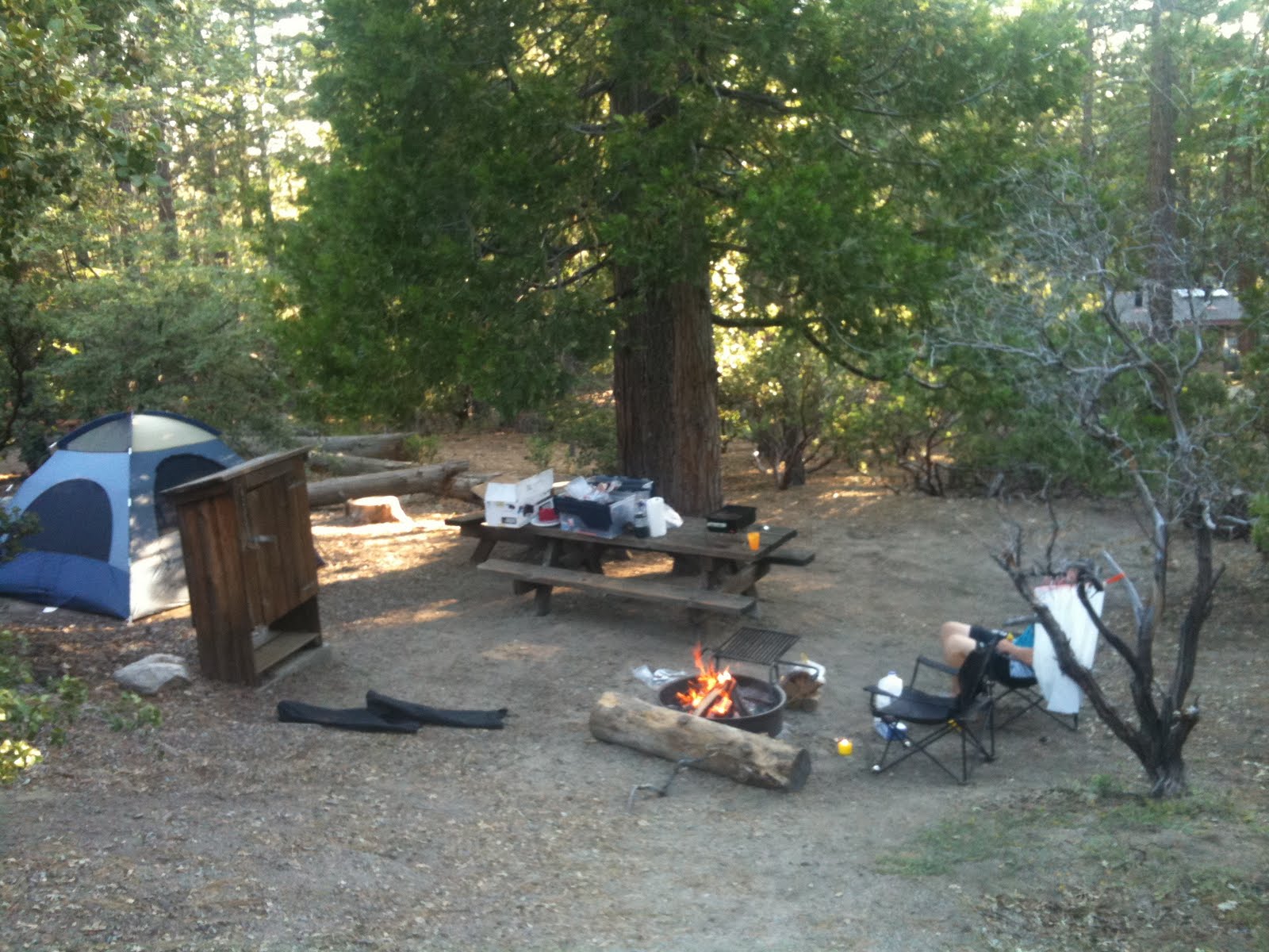 Stone Creek Campground Mt. San Jacinto S.P.