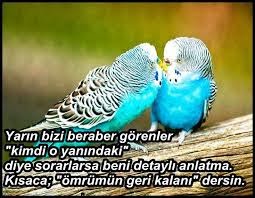 ne guzel sozler blogger