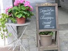 Champagne Tasting in France