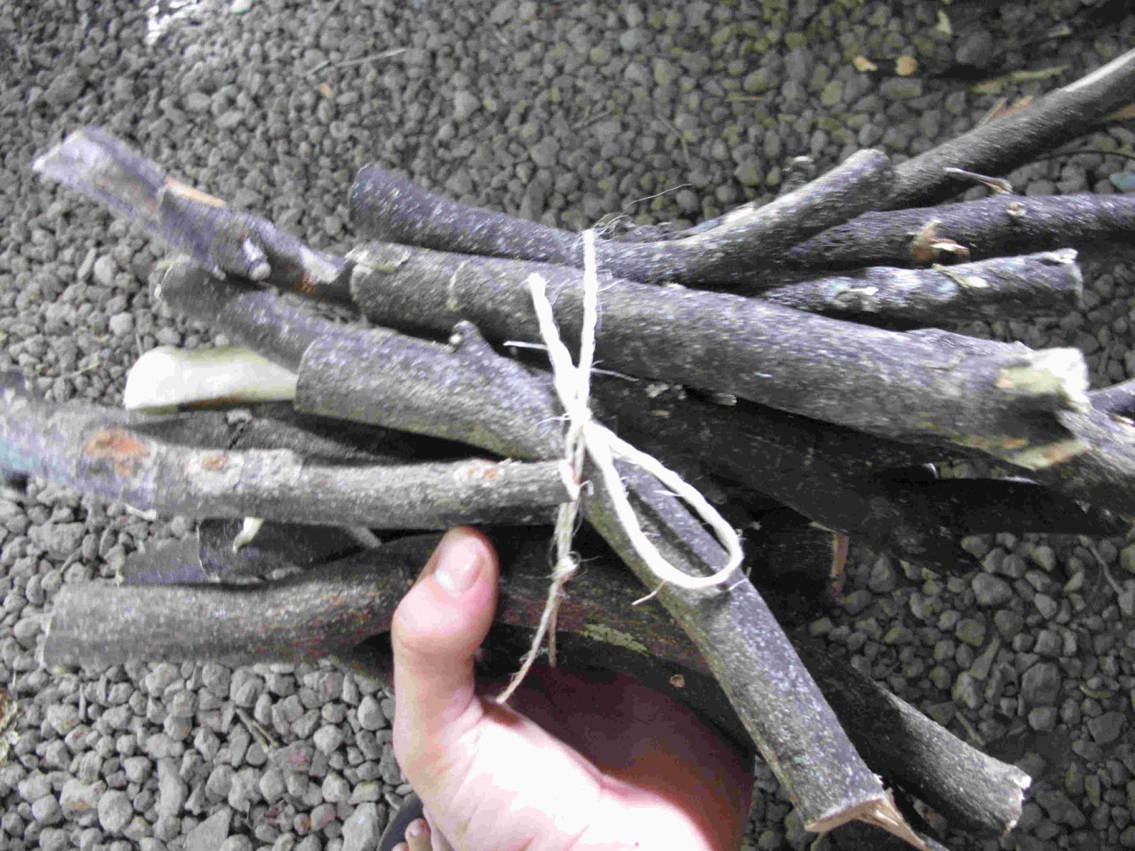 Cocinas y Estufas Pocalenya: agosto 2013