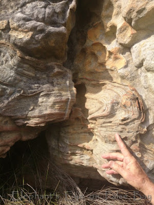 Folded sandstone at Steenberg Buttress