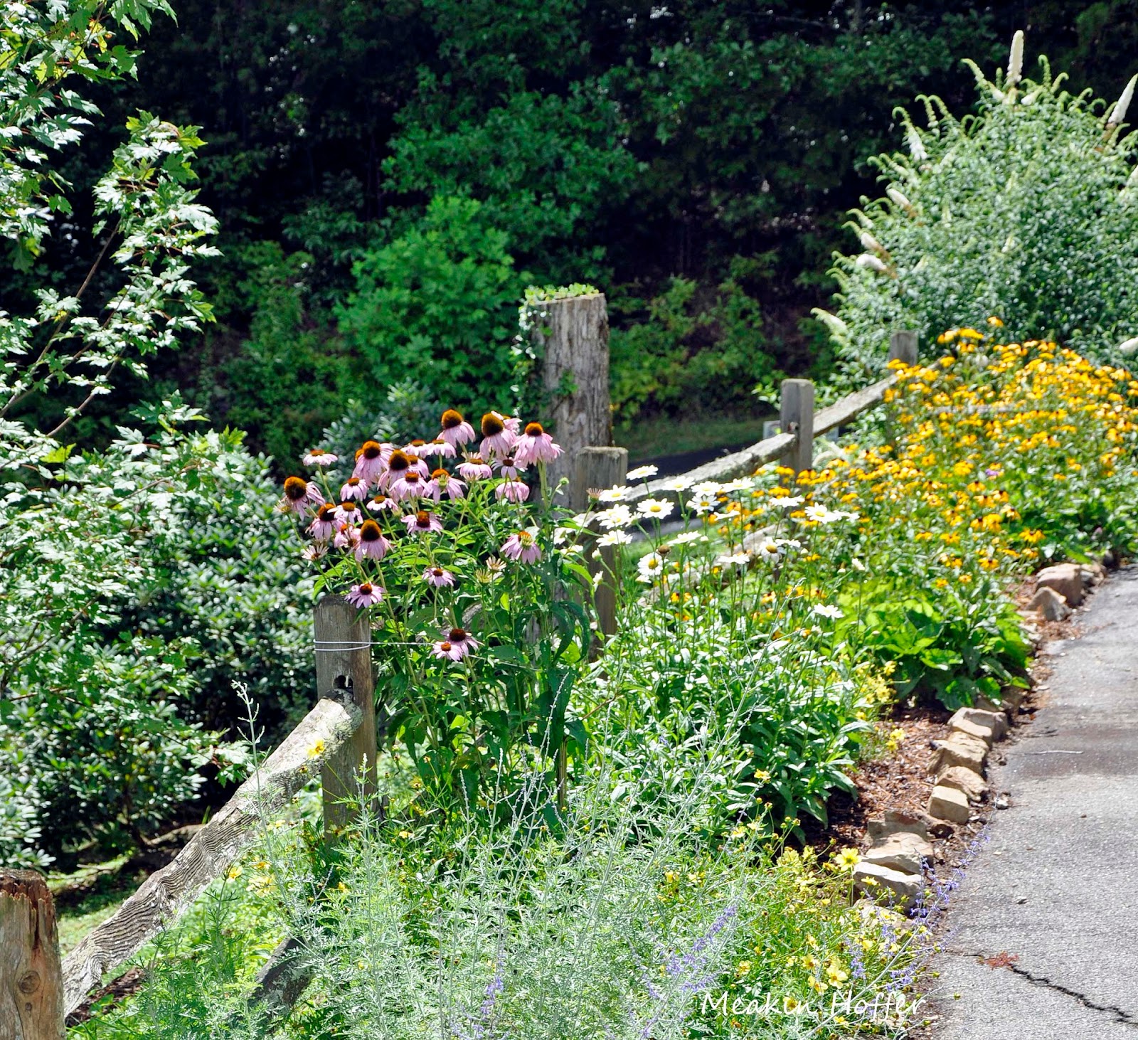 My Carolina Kitchen Summer Flowers
