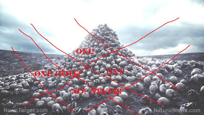 Skull Hell Apocalypse Pile Bones Cemetery Genocide