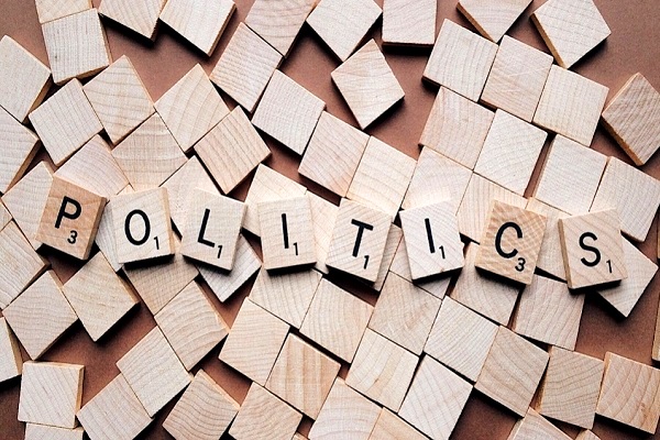 Apa itu budaya politik partisipan? pembelajaranmu.com
