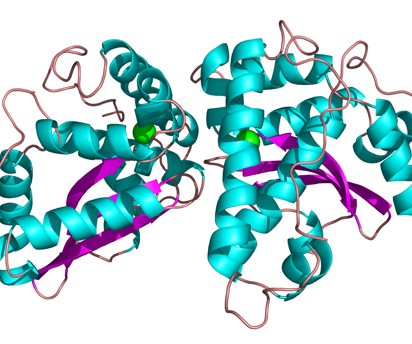 BIOLOGY WRITEUP BIOLOGY ARTICLES SUPEROXIDE DISMUTASE structure