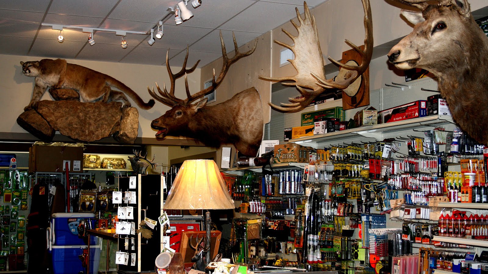 Hunting And Fishing Store Fish Choices